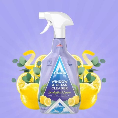 Astonish Astonish Window Płyn do Mycia Szyb 750 ml Astonish Astonish Window Płyn do Mycia Szyb 750 ml