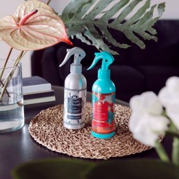CONTER SRL Tesori d'Oriente Ayurveda Odświeżacz Powietrza 250 ml
