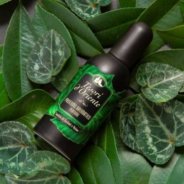 CONTER SRL Tesori d'Oriente Kashmir Sandalwood & Vetiver Woda Toaletowa 100 ml