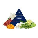Paglieri S.p.A. Felce Azzurra Antibacterial Mint and Lime Mydło w Płynie Uzupełniacz 500 ml