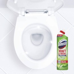 Unilever Domestos Kraft & Frische Lime Fresh WC Żel 750 ml