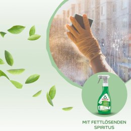 Werner & Mertz GmbH Frosch Spiritus Płyn do Szyb 500 ml