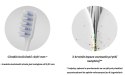 CP GABA GmbH Colgate SlimSoft Dual Action Szczoteczka do Zębów