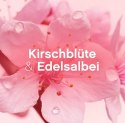 Procter & Gamble Lenor Kirschblüte & Edelsalbei Płyn do Płukania 32 prania