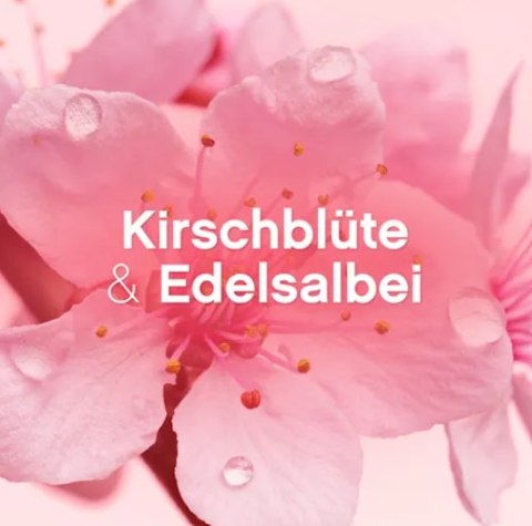 Procter & Gamble Lenor Kirschblüte & Edelsalbei Płyn do Płukania 32 prania Procter & Gamble Lenor Kirschblüte & Edelsalbei Płyn do Płukania 32 prania