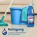CP GABA GmbH DanKlorix Chlor w Płynie 1,5 l