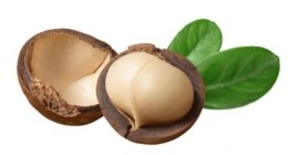 CP GABA GmbH Palmolive Naturals Macadamia & Cacao Żel pod Prysznic 750 ml