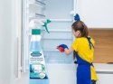 Delta pronatura GmbH Dr Beckmann Higieniczna Lodówka 250 ml