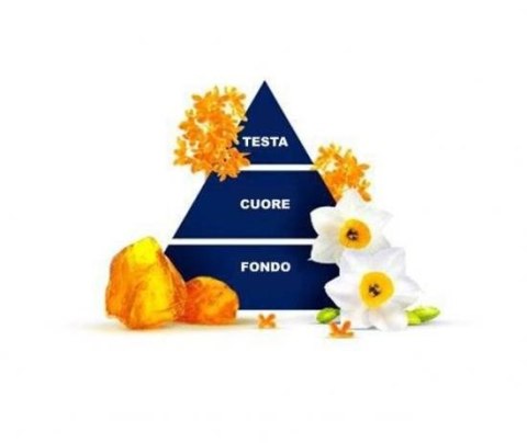Paglieri S.p.A. Felce Azzurra Narcissus Żel pod Prysznic 650 ml Paglieri S.p.A. Felce Azzurra Narcissus Żel pod Prysznic 650 ml