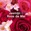 Procter & Gamble Lenor Passion Jasmin&Rose de Mai Płyn do Płukania 40 prań