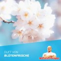 Procter & Gamble Meister Proper Badreiniger Blutenfrische Spray do Łazienki 800 ml