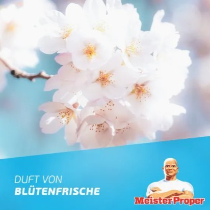 Procter & Gamble Meister Proper Badreiniger Blutenfrische Spray do Łazienki 800 ml Procter & Gamble Meister Proper Badreiniger Blutenfrische Spray do Łazienki 800 ml