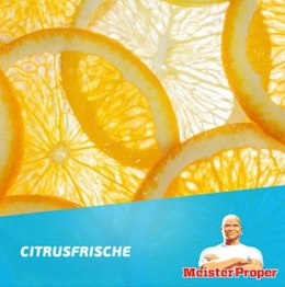 Procter & Gamble Meister Proper Citrus Uniwersalny Spray Czyszczący 800 ml
