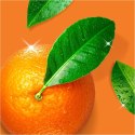 Procter & Gamble Mr. Propre Mandarine Spray na Tłuszcz 500 ml