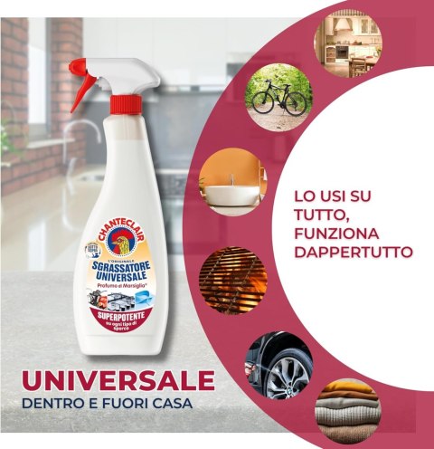REAL CHIMICA SRL Chanteclair Sagrassatore Odtłuszczacz Marseille 600 ml REAL CHIMICA SRL Chanteclair Sagrassatore Odtłuszczacz Marseille 600 ml