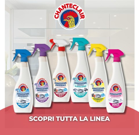REAL CHIMICA SRL Chanteclair Sagrassatore Odtłuszczacz Marseille 600 ml REAL CHIMICA SRL Chanteclair Sagrassatore Odtłuszczacz Marseille 600 ml