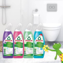 Werner & Mertz GmbH Frosch WC-Reiniger Himbeer-Essig Żel WC 750 ml