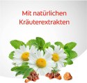 CP GABA GmbH Colgate Dentagard Ziołowa Pasta do Zębów 75 ml