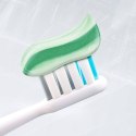 CP GABA GmbH Colgate Dentagard Ziołowa Pasta do Zębów 75 ml
