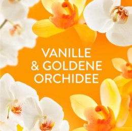 Procter & Gamble Lenor Goldene Orchidee Płyn do Płukania 59 prań